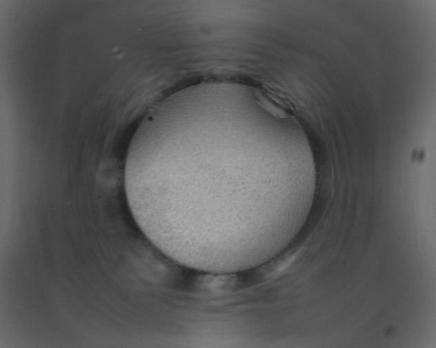 X0000092070135200710101027