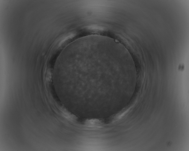 X0000092070137200710101027