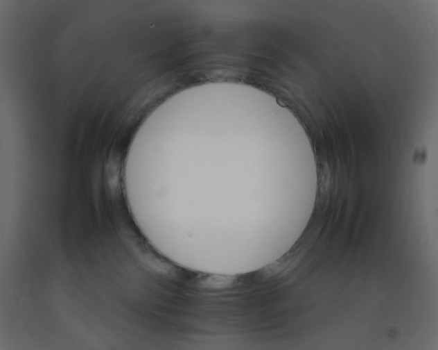 X0000092070138200710101027