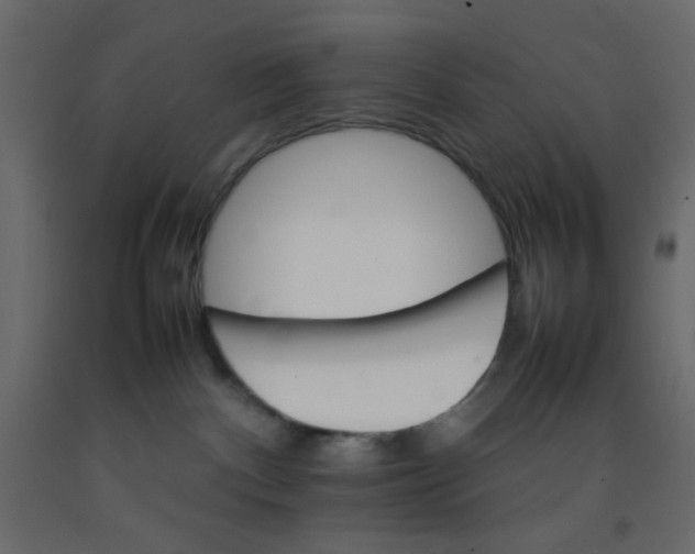 X0000092070140200710101027