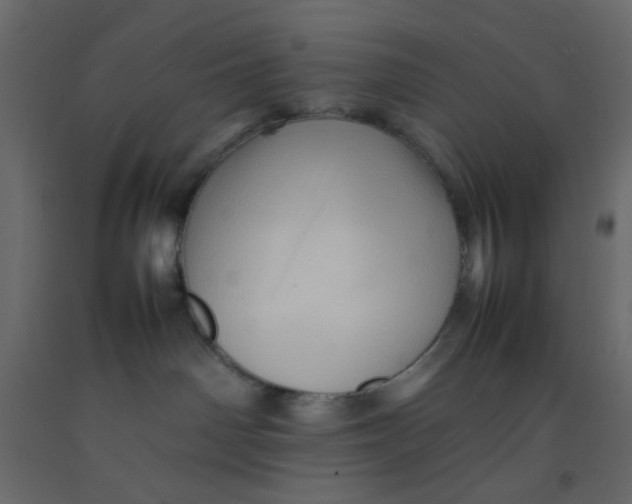 X0000092070142200710101027
