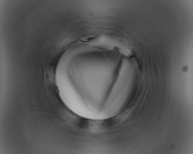 X0000092070143200710101027