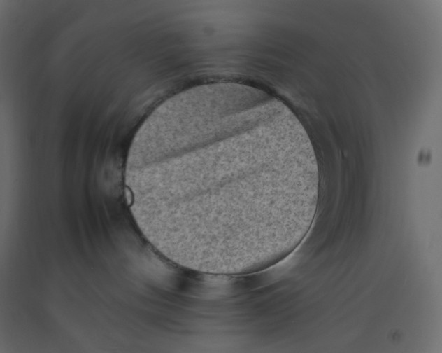 X0000092070144200710101027