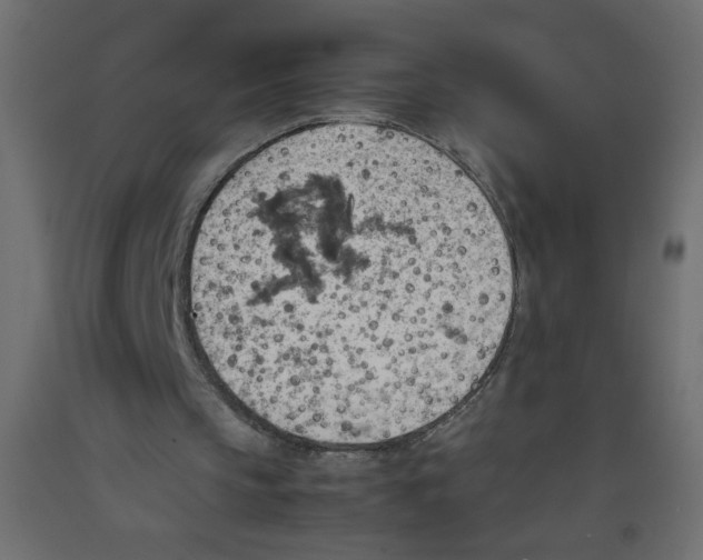 X0000092070145200710101026