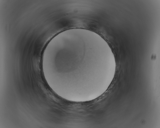 X0000092070146200710101026