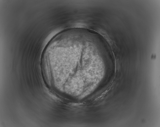 X0000092070147200710101026