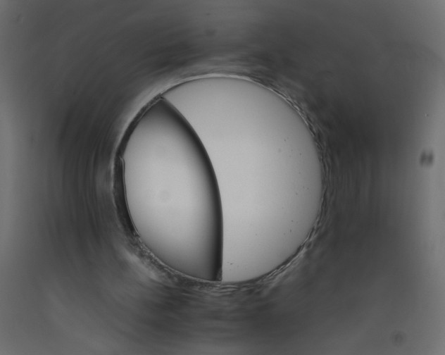 X0000092070148200710101026