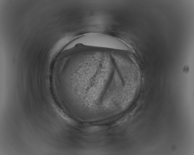 X0000092070149200710101026