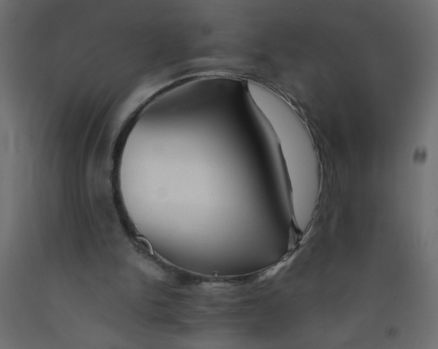 X0000092070150200710101026