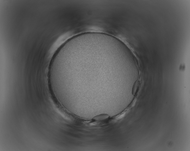 X0000092070151200710101026
