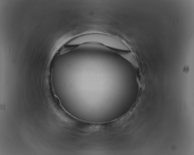X0000092070152200710101026