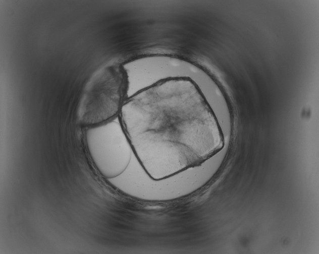 X0000092070153200710101026