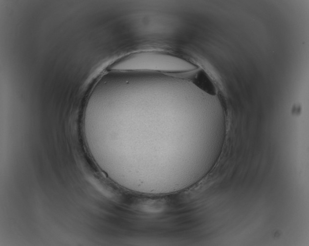 X0000092070155200710101026