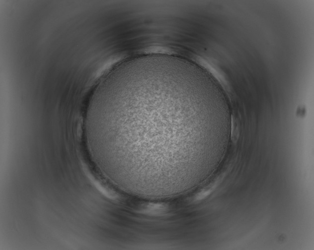 X0000092070157200710101026