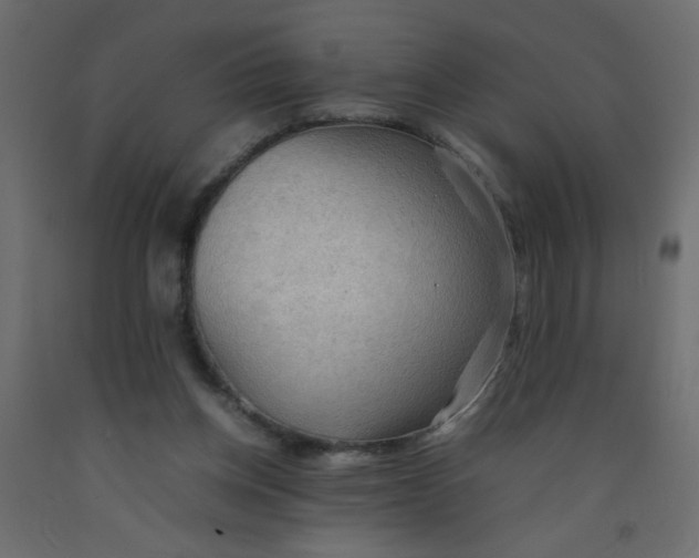 X0000092070158200710101026