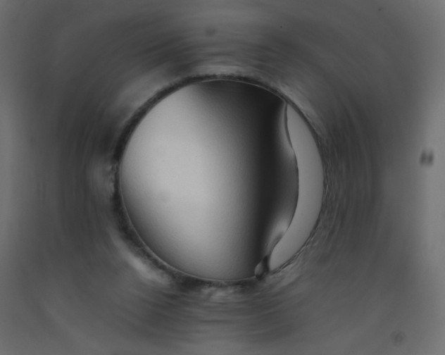 X0000092070160200710101026