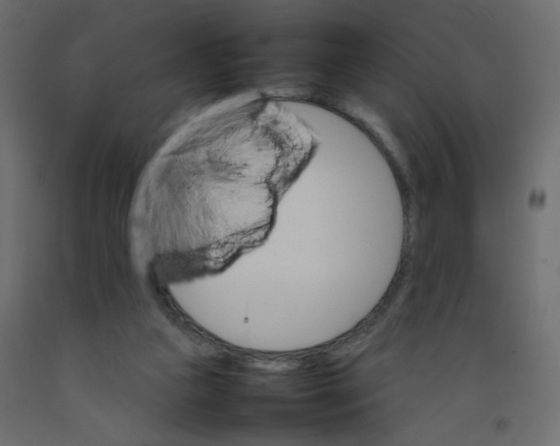 X0000092070161200710101026