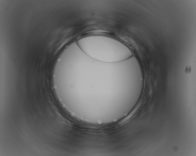 X0000092070162200710101026