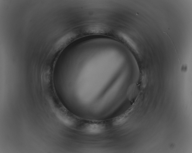 X0000092070163200710101026