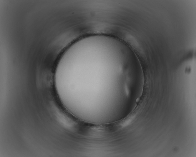 X0000092070164200710101026