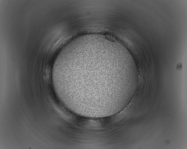 X0000092070166200710101027