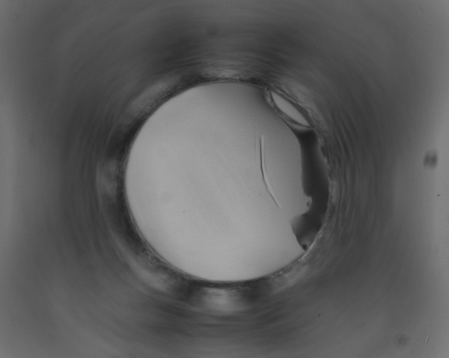 X0000092070167200710101027