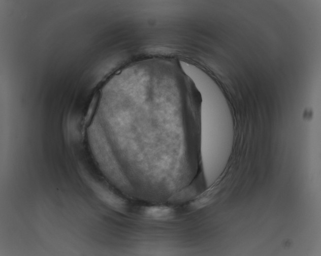 X0000092070168200710101027