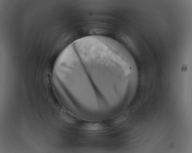 X0000092070169200710101027