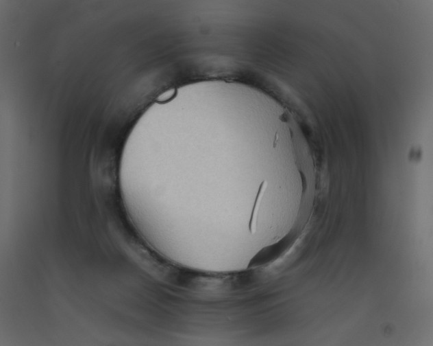 X0000092070170200710101027