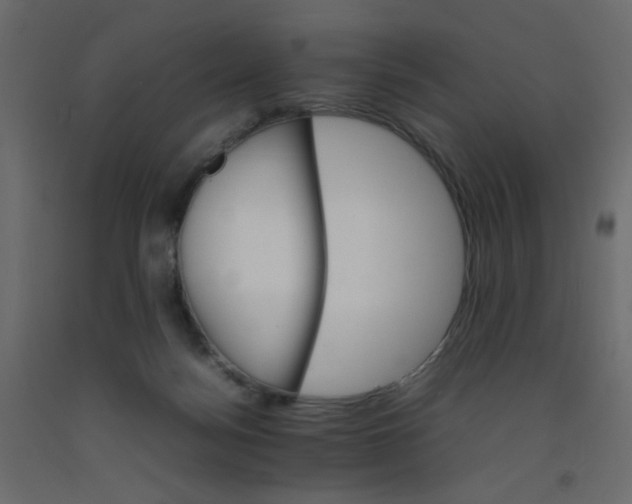 X0000092070172200710101027