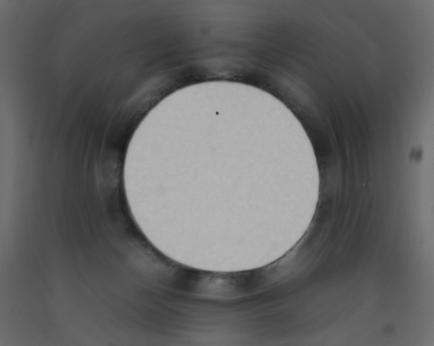 X0000092070174200710101027