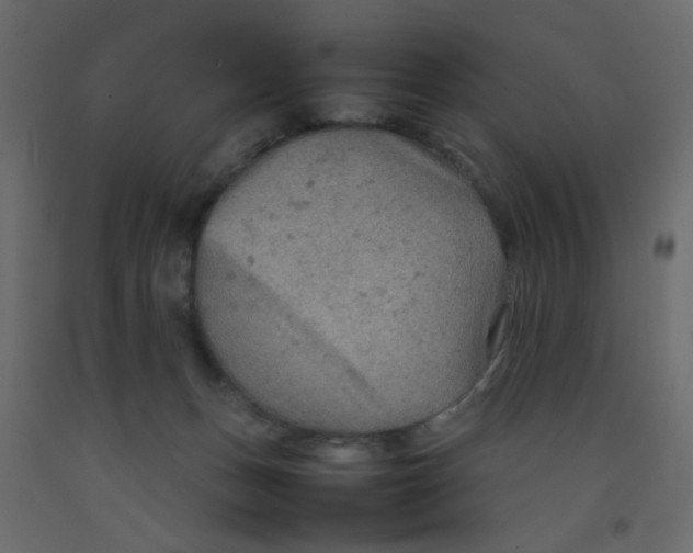X0000092070175200710101027