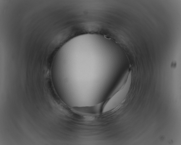 X0000092070176200710101027