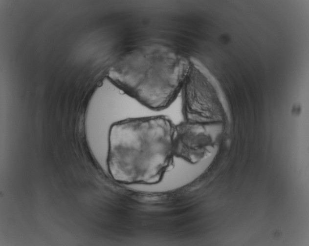 X0000092070177200710101027