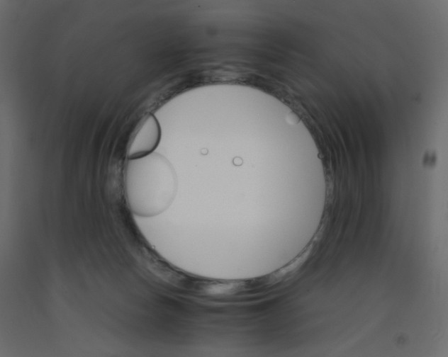 X0000092070178200710101027