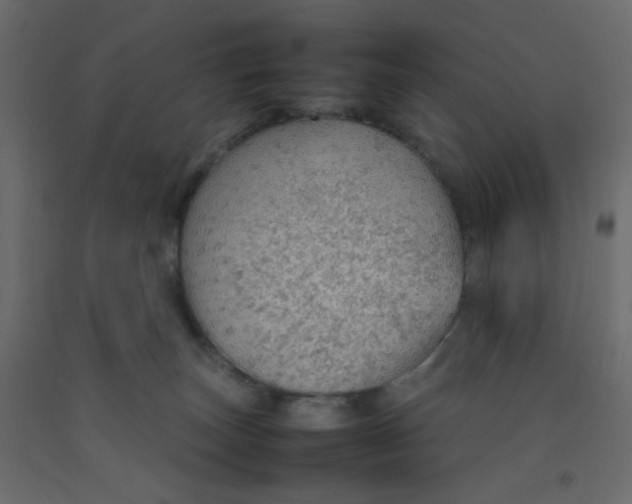 X0000092070179200710101027