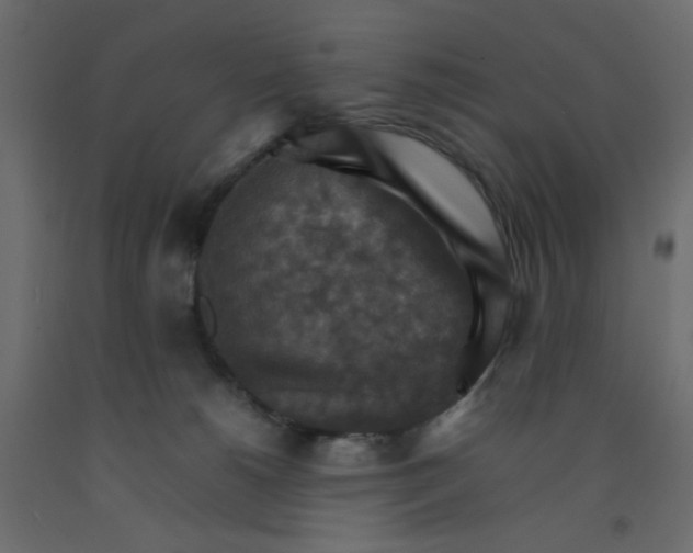 X0000092070180200710101027