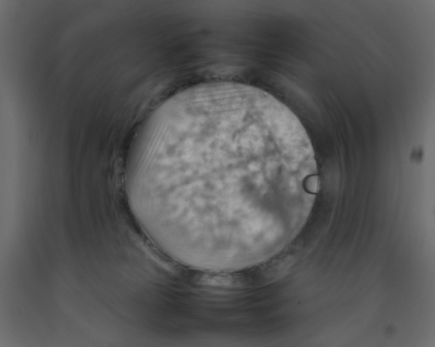 X0000092070181200710101027