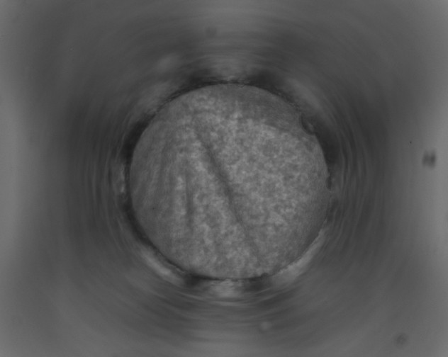 X0000092070182200710101027