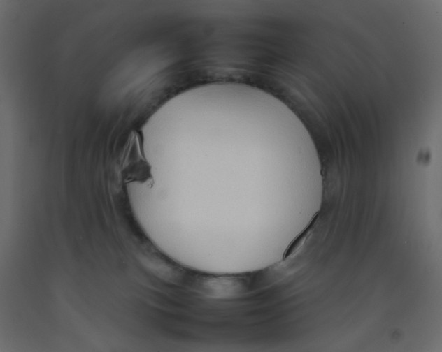 X0000092070183200710101027