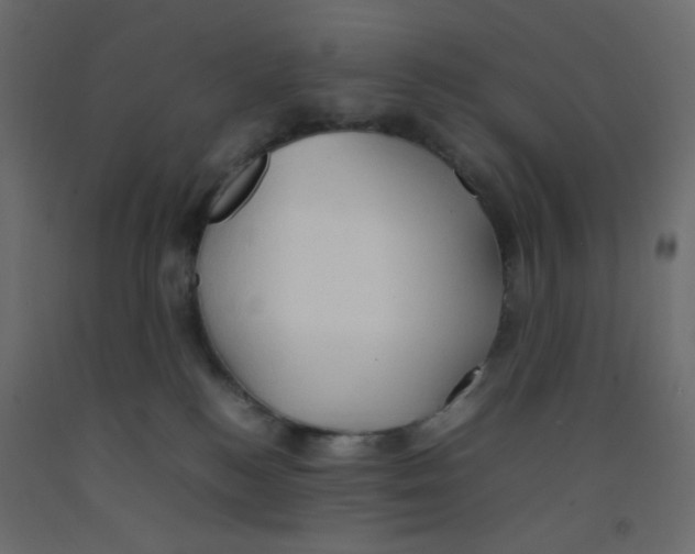 X0000092070184200710101027