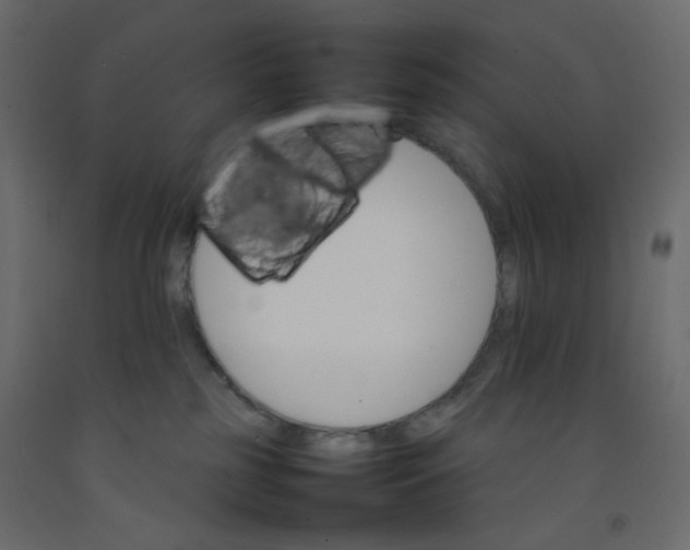 X0000092070185200710101027