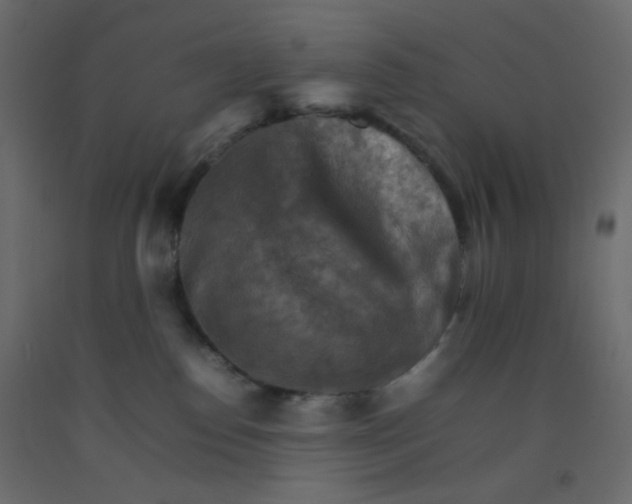 X0000092070186200710101027