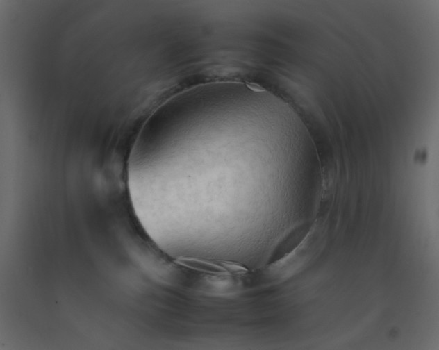 X0000092070187200710101027