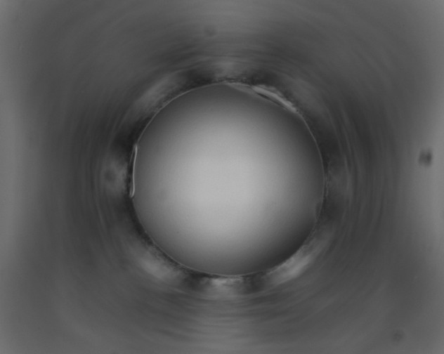 X0000092070188200710101027
