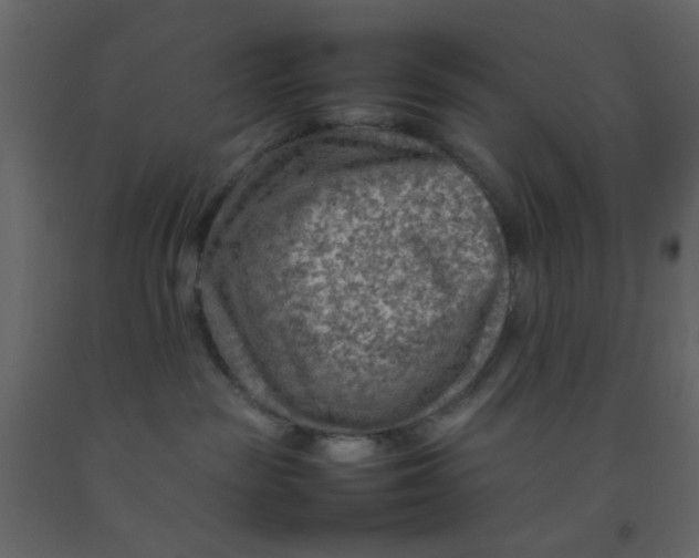 X0000092070189200710101027