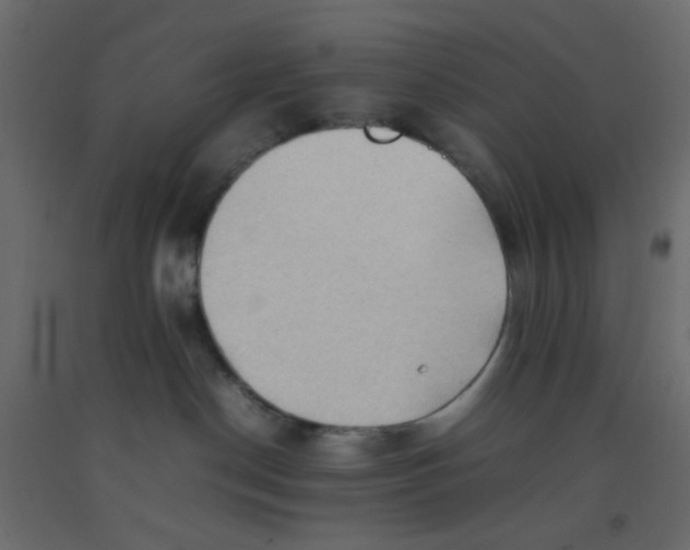 X0000092070190200710101027