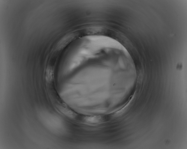 X0000092070191200710101027