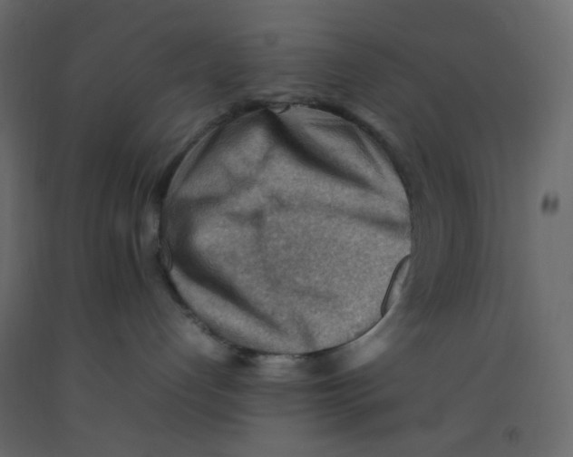 X0000092070192200710101027