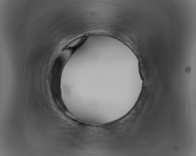 X0000092070193200710101026
